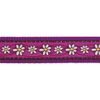 Red Dingo Postroj RD 12 mm x 30-44 cm - Daisy Chain Purple