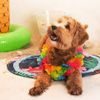 CoolPets Gelová chladící podložka Tropical 60cm