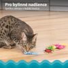 Catstages Sada hraček s catnipem 6ks
