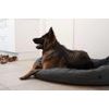 DogSpace Bonie tlaková extra vysoká branka 105 cm kovová