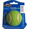 Chuckit! Míček Max Glow Ultra Squeaker Medium 6,5 cm svítící