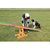 Trixie AGILITY houpačka/lávka 300x54x34cm max.do 80kg