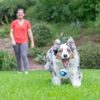 Chuckit! Sniff Ball Míčky s vůní slaniny a arašídového másla 6,5 cm – 2 na kartě