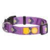 Woolly Wolf Northern Lights Collar