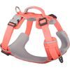 Red Dingo postroj Sport Hi-Vis Peach 25 mm x 75-112 cm