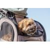 Trixie Transportní batoh SHIVA 41 x 30 x 21 cm do 8 kg hnědá/béžová