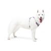 Woolly Wolf Alpha 360 Harness