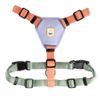 Woolly Wolf Color Block Harness