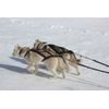 ManMat postroj SLED