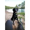 Woolly Wolf Color Block Martingale Collar