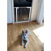 DogSpace Lassie tlaková branka pro pejsky 73-80 cm bílá