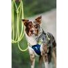 Woolly Wolf Long Rope Leash