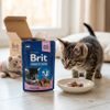 Brit Premium Cat Pouches White fish for Kitten 100g
