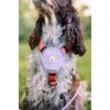 Woolly Wolf Color Block Harness
