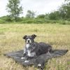 PALOPA Dog Mat Alma anthracite M-L