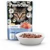 Pawsome! Adult light s lososem 85 g