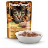 Pawsome! Adult s kuřecím masem 85 g