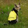 FUNKY DOG Žlutá signalizační vesta pro psy