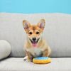 ZippyPaws Mini Donutz