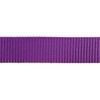 Red Dingo Vodítko SuperLead 25 mm x 1,8 m Fialová