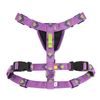 Woolly Wolf Northern Lights Harness