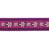 Red Dingo Vodítko přepínací 25 mm x 2 m Daisy Chain Purple