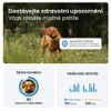 Tractive DOG 6 - GPS lokátor a a monitor zdraví pro psy