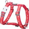 Red Dingo Postroj 20 mm x 45-66 cm Swiss Cross