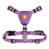 Woolly Wolf Northern Lights Harness