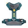 Woolly Wolf Roam Harness