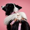 FUNKY DOG Konopné krátké vodítko pro psa 1,7 m světlé růžové