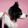 FUNKY DOG Konopné krátké vodítko pro psa 1,7 m fialové lila