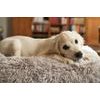 DogSpace Lassie tlaková branka pro pejsky 73-80 cm bílá
