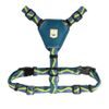 Woolly Wolf Horizon Harness