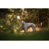 Non-stop dogwear Celotělová mikina Trail quest fleece overall dog jacket béžová
