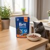 Brit Premium Cat Pouches for Sterilized 100g