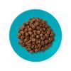Applaws granule Cat Adult Mořské ryby s lososem