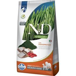 N&D SPIRULINA Dog GF Herring & Wolfberry Adult Medium & Maxi 7 kg
