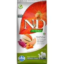 N&D PUMPKIN Dog GF Duck & Cantaloupe Adult Medium & Maxi 12 kg