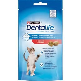 Purina DentaLife Cat salmon 40 g