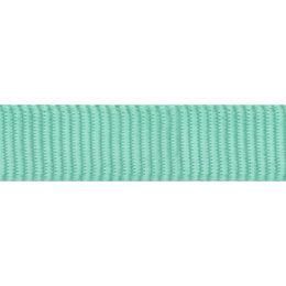 Red Dingo Vodítko přepínací 12 mm x 2 m Zelená Pastelová