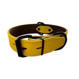 BAFPET Obojek HERRY obšitý černé kování žlutá