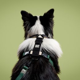 FUNKY DOG Konopný postroj pro psa zeleno černý