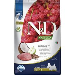 N&D QUINOA Dog GF Senior Lamb Green Apple and Coconut Mini 5 kg