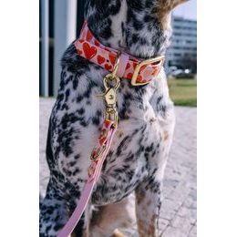 Reedog venčící set srdce Biothane OBOJEK + VODÍTKO