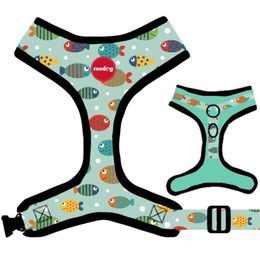 Reedog Kšíry pro psa FISH