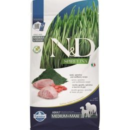 N&D SPIRULINA Dog GF Lamb Adult Medium & Maxi 2 kg