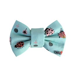 FUNKY DOG Psí motýlek tyrkysový s barevnými broučky