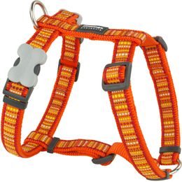 Red Dingo Postroj 25 mm x 56-80 cm Lotzadotz Orange
