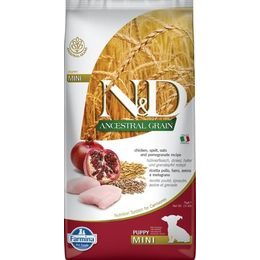 N&D ANCESTRAL GRAIN Dog LG Chicken, Spelt, Oats & Pomegranate Puppy Mini 7 kg